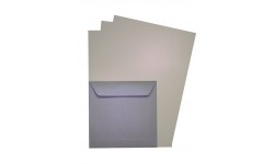 Pack Lila (iridescent)
