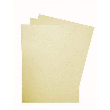 Set de 25 feuilles A4 - 80g